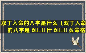 双丁入命的八字是什么（双丁入命的八字是 🐋 什 💐 么命格）